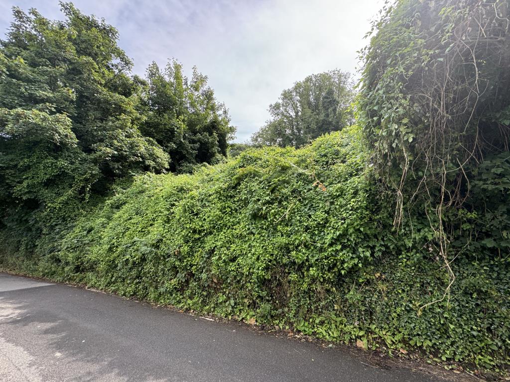 Lot: 33 - FREEHOLD PARCEL OF LAND - Land view from road